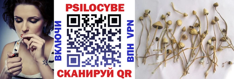 где купить   Кораблино  Псилоцибиновые грибы MAGIC MUSHROOMS 